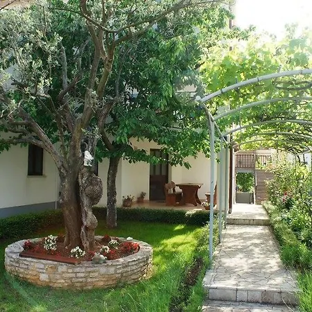 Apartman Snjezana Fažana Exterior foto