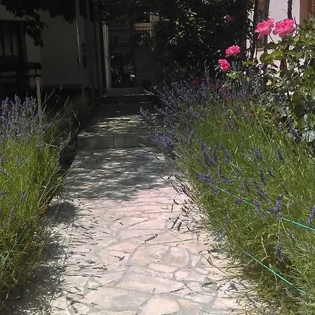 Apartman Snjezana Fažana Exterior foto
