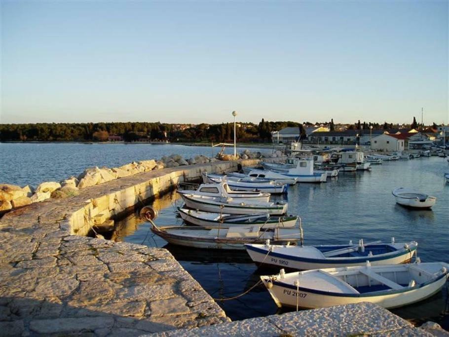 Snjezana *